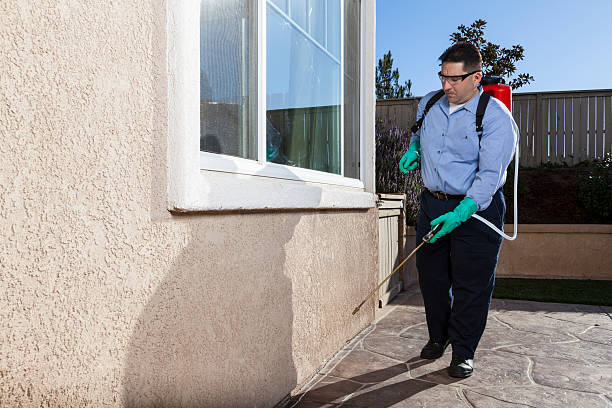 Best Organic or Eco-Friendly Pest Control  in El Macero, CA